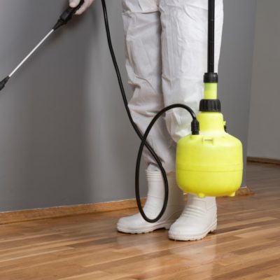 Pest-Control-Service-2